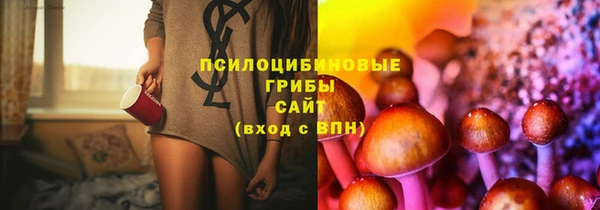 2c-b Надым