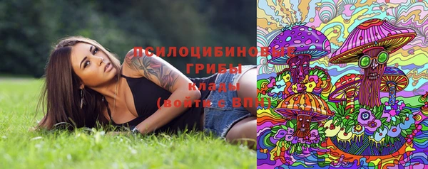 мяу мяу мука Абинск