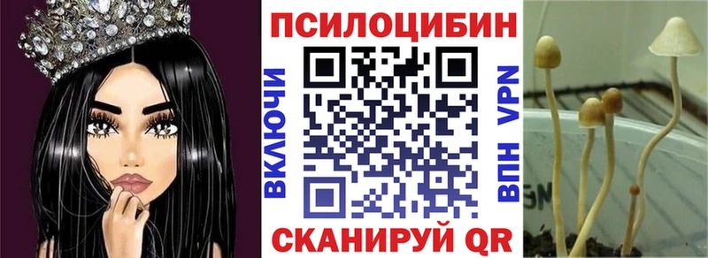 купить   Отрадный  Псилоцибиновые грибы GOLDEN TEACHER 